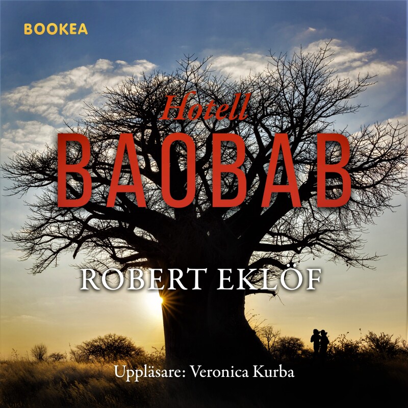Bokomslag 1