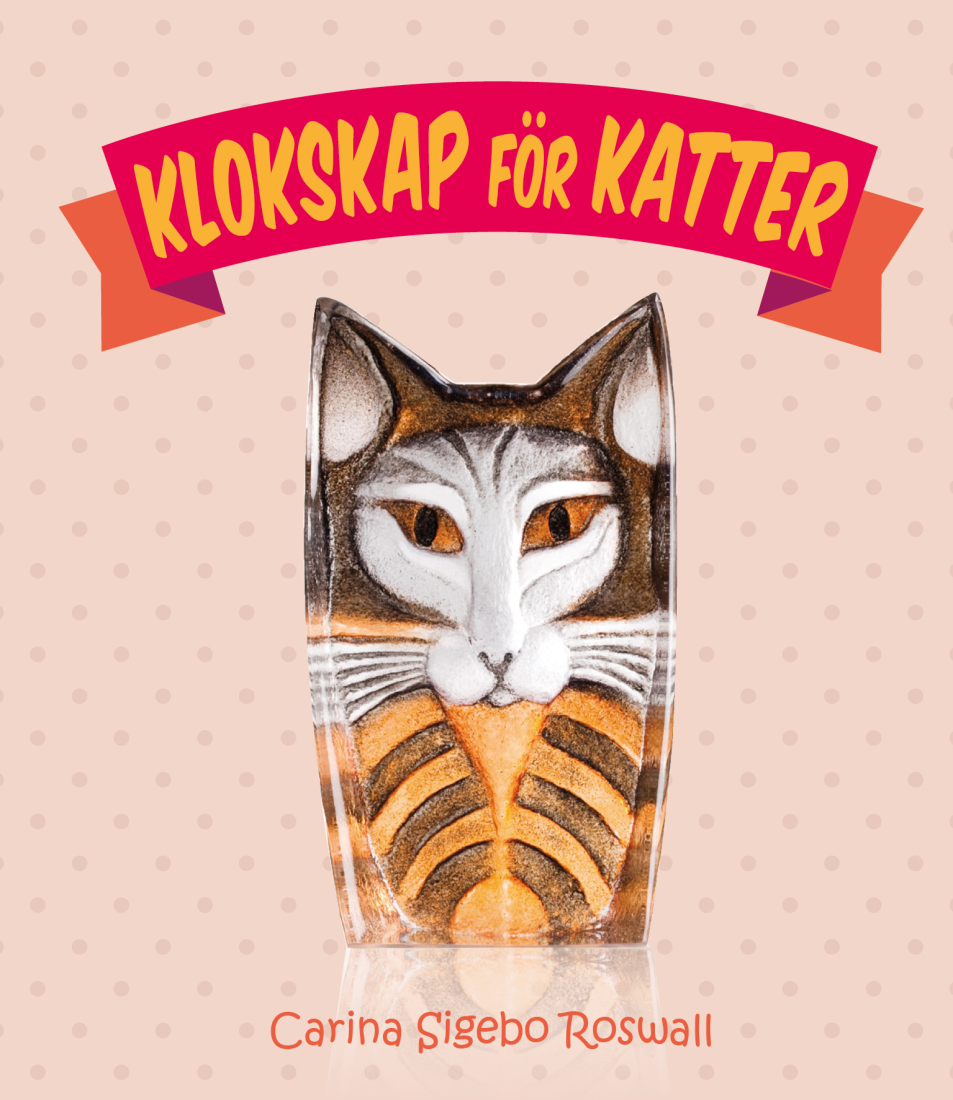 Bokomslag 1