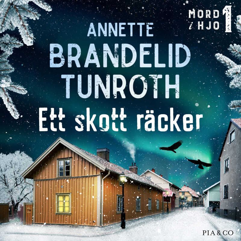 Bokomslag 2