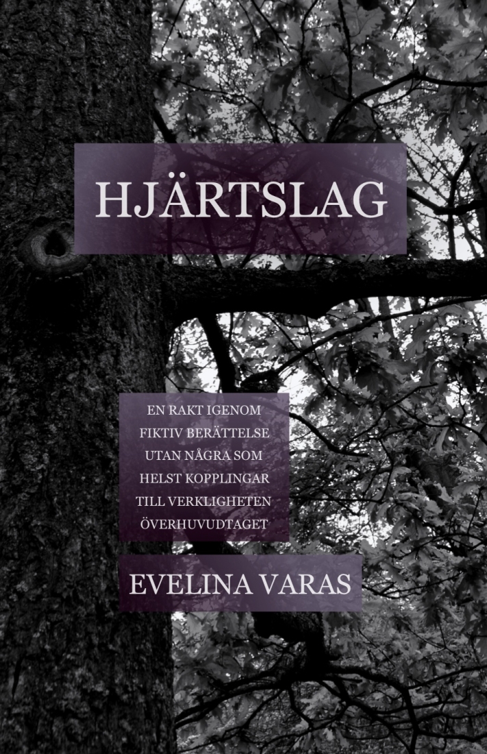 Bokomslag 1