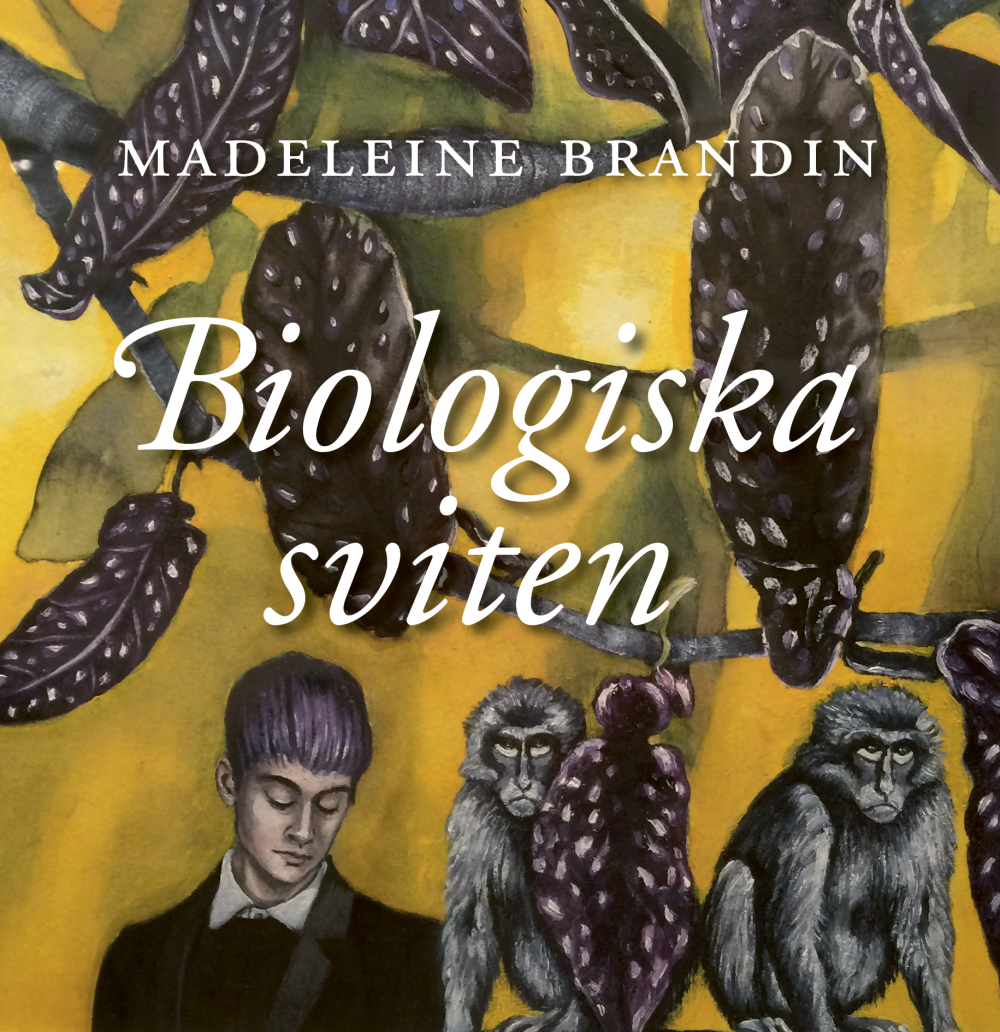 Bokomslag 1