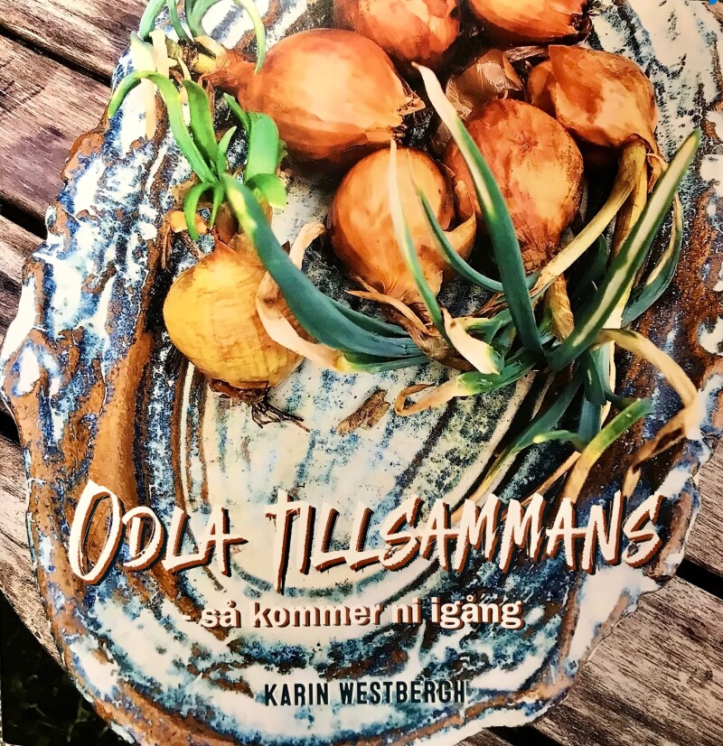 Bokomslag 2