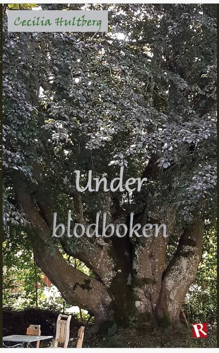 Bokomslag 2